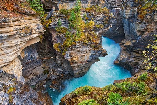 Canada-Alberta-Jasper National Park Athabasca River at Athabasca Falls